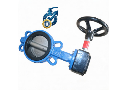 China DN50 SS304 Lever Wafer Butterfly Valve Supplier | FTJ