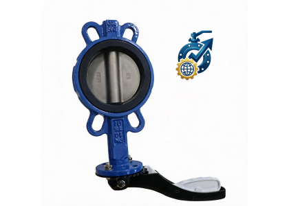 China 2 Inch Manual Wafer Butterfly Valve Manufacturer | Direct Factory
