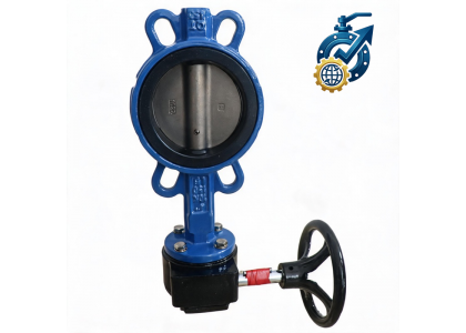 10 Inch SS304 Wafer Butterfly Valve Manufacturer | China Supplier