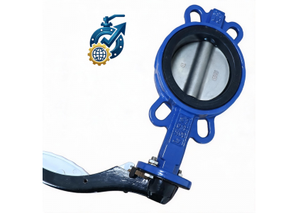 2 Inch Carbon Steel Lever Wafer Butterfly Valve Supplier | FTJ Valves