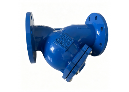 China Y-Strainer SS304 Flanged OEM Manufacturer | FTJ