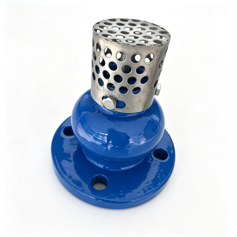 Premium Metal Foot Valve & China Metal Foot Valve Manufacturer