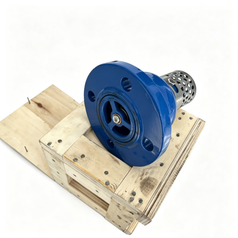 Sturdy Foot Valve Supplier
