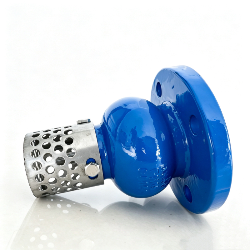 Stainless Steel Foot Valve Supplier