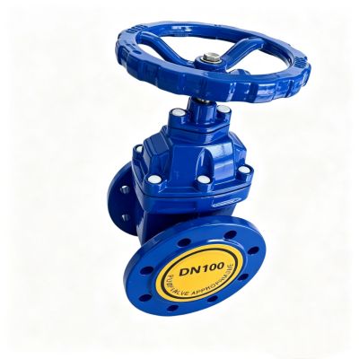 Stainless Steel Gate Valve Manufacturer & Supplier in China