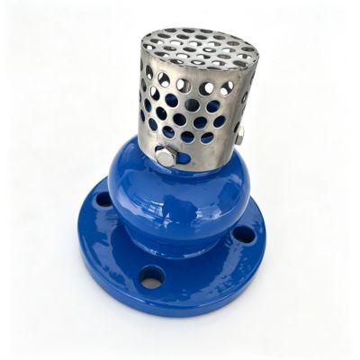 Premium Metal Foot Valve & China Metal Foot Valve Manufacturer