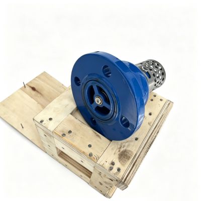 Sturdy Foot Valve Supplier