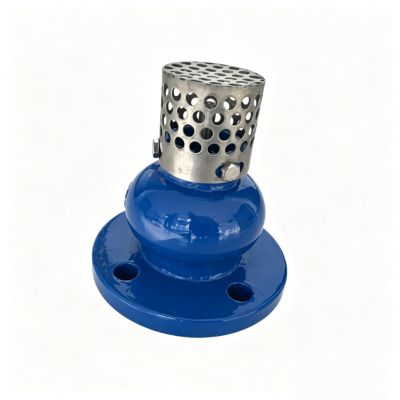 Premium Foot Valve & China Foot Valve Manufacturer