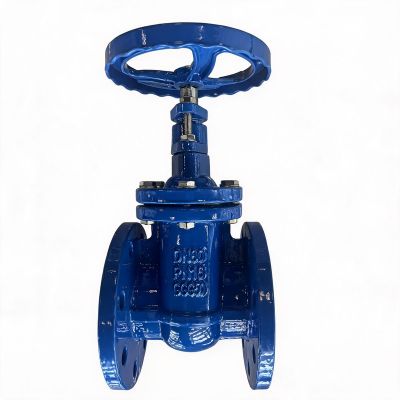 China Big Gate Valve Manufacturer & Supplier
